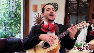 GRUPO MUSICAL PURO JALISCO - MUÑECO DE CARNE