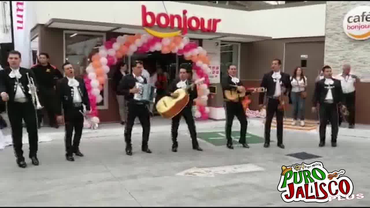 GRUPO MUSICAL PURO JALISCO MARIACHI