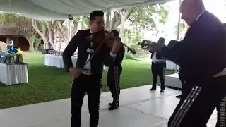MARIACHI PURO JALISCO - LA FIESTA DEL MARIACHI