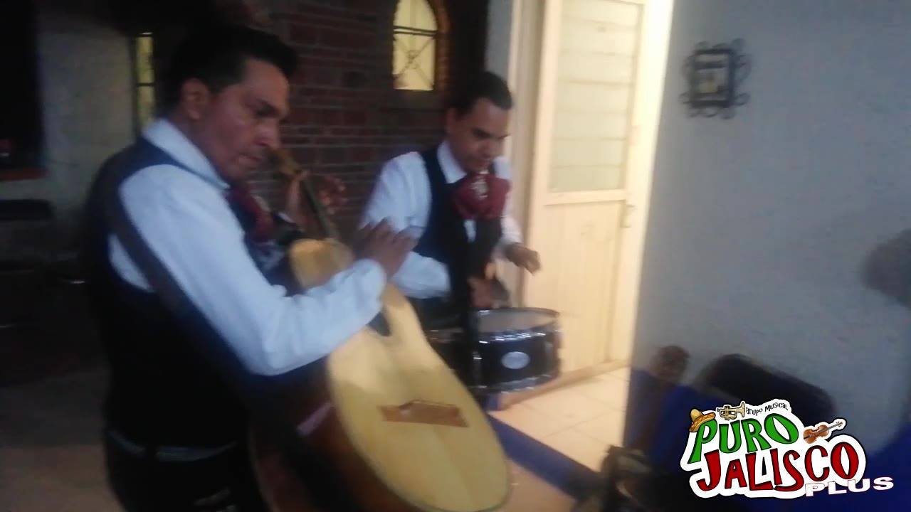 GRUPO MUSICAL PURO JALISCO - MARIACHI LOCO