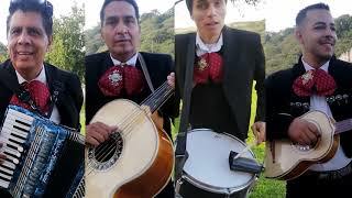 GRUPO MUSICAL PURO JALISCO - EL PIPIRIPAO
