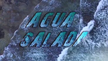 GRUPO MUSICAL PURO JALISCO - AGUA SALADA CUMBIA