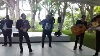MARIACHI PURO JALISCO - EL MARIACHI LOCO