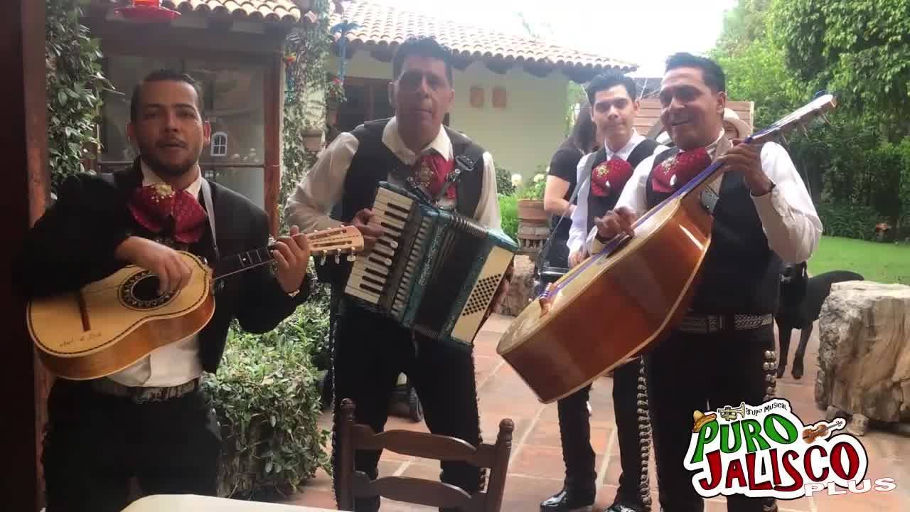 GRUPO MUSICAL PURO JALISCO - 4 MESES