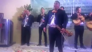 MARIACHI PURO JALISCO - EL SINALOENSE
