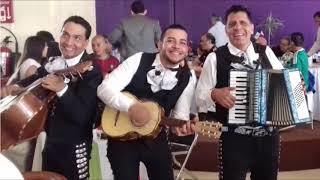 GRUPO MUSICAL PURO JALISCO - LA HIERBA SE MOVIA