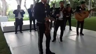 MARIACHI PURO JALISCO - VIVA VERACRUZ 2