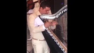 MARIACHI PURO JALISCO CON ARPA
