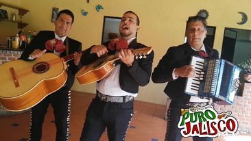 GRUPO MUSICAL PURO JALISCO TOCAMOS TODO TIPO DE MUSICA